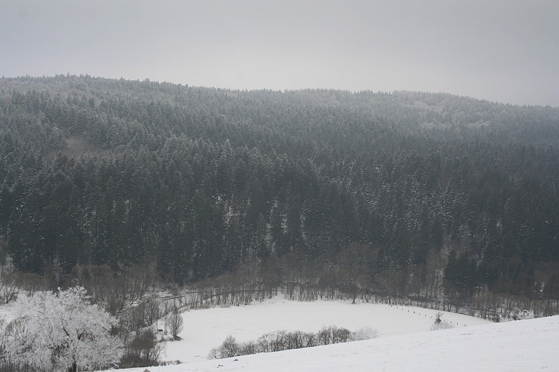 Bieszczady 12.2007 021